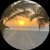 jeanne_mcdonald